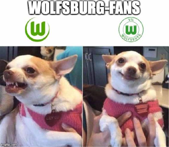 VfL Wolfsburg Meme neues Logo Fans